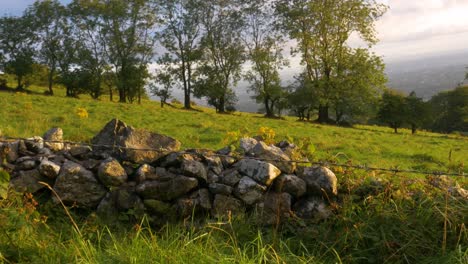 exuberantes colinas verdes y árboles en las montañas de wicklow con vistas a la ciudad de dublín en el fondo a primera hora de la mañana durante la hora dorada en irlanda