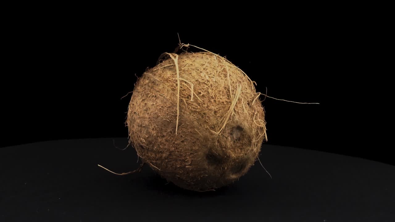 coco 360 de giro alrededor de sí mismos en un fondo negro y tierra