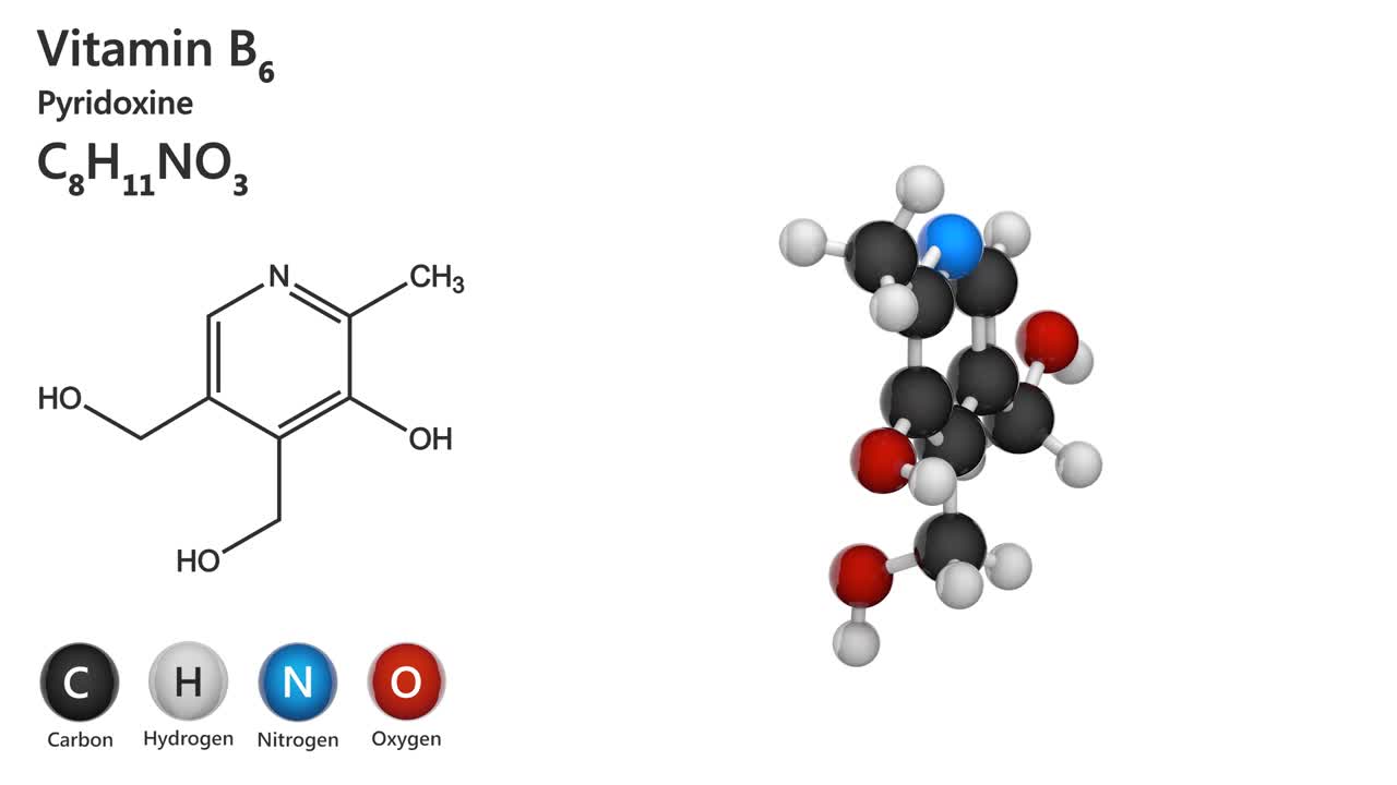 비타민 b6 (피리도크신) - 완벽한 순환