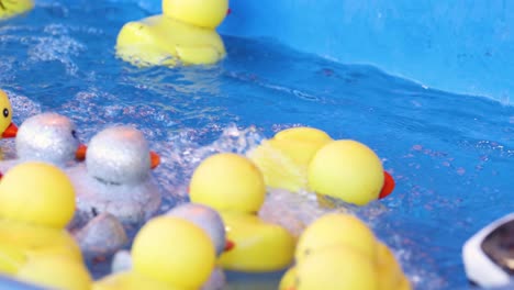 colorful rubber ducks drift in a water stream