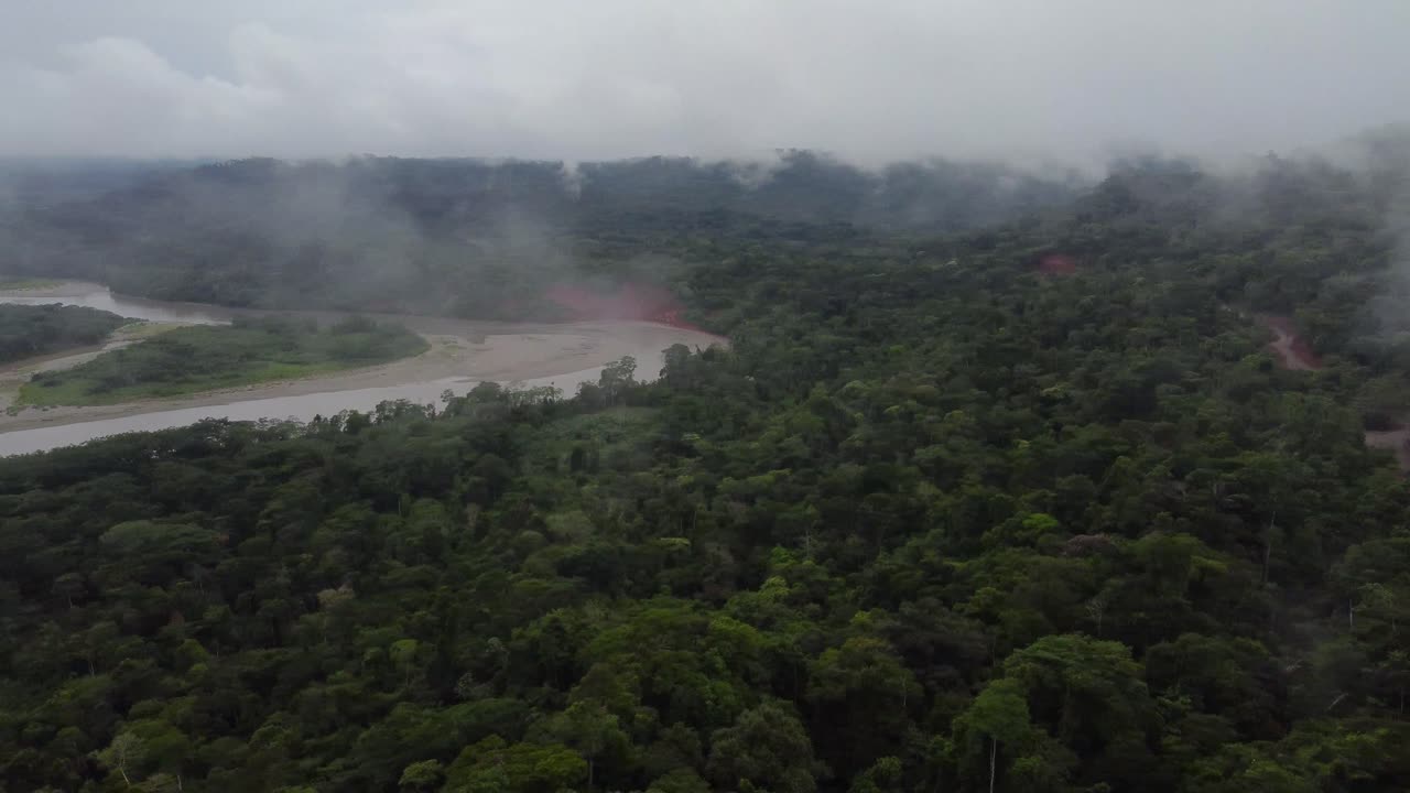 vista aérea de la selva amazónica, parque nacional manu