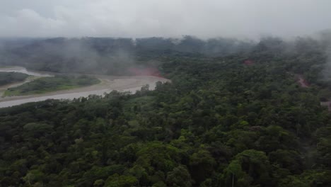 vista aérea de la selva amazónica, parque nacional manu