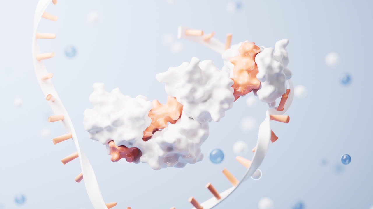 rna와 단백질의 생물학적 개념, 3d 렌더링