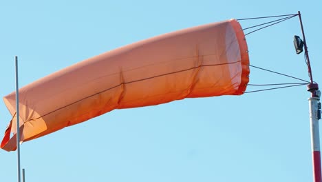 las grandes decoraciones de globos dentro del parque de atracciones en estonia