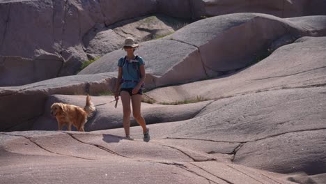 hiker and dog on rocks in ramsvikslandet nature reserve, peaceful outdoor adventure