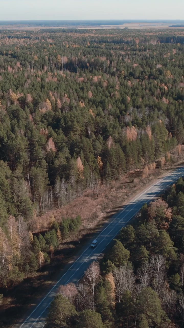 Droneoptagelser af en ensom bil, der kører langs en tom asfaltvej, der skærer gennem blandet nåle- og løvskov i efterårsfarver, et fjerntliggende landskab.