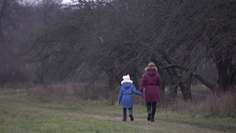 Menschen-Gehen-Im-Januar-Durch-Den-Düsteren-Park