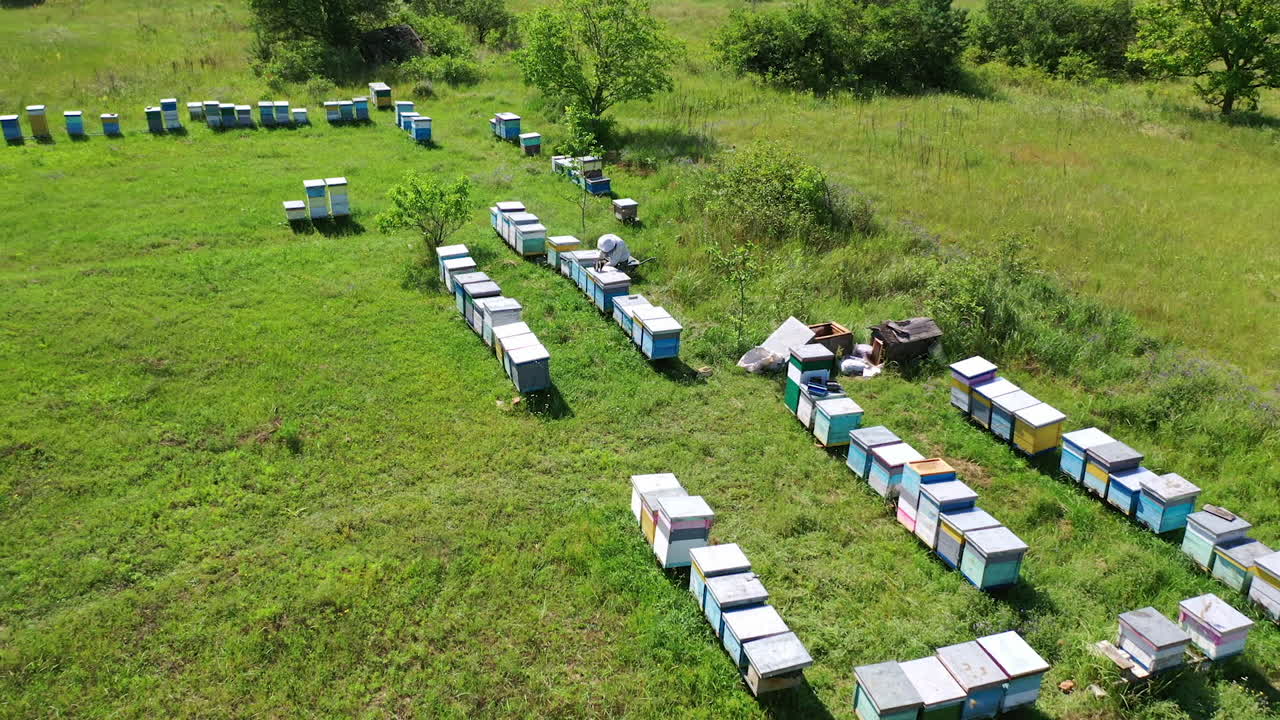Beehive boxes on a bee farm. Wooden hives on the apiary in summer. Beekeeper works on the apiary. Apiculture process. Aerial view.