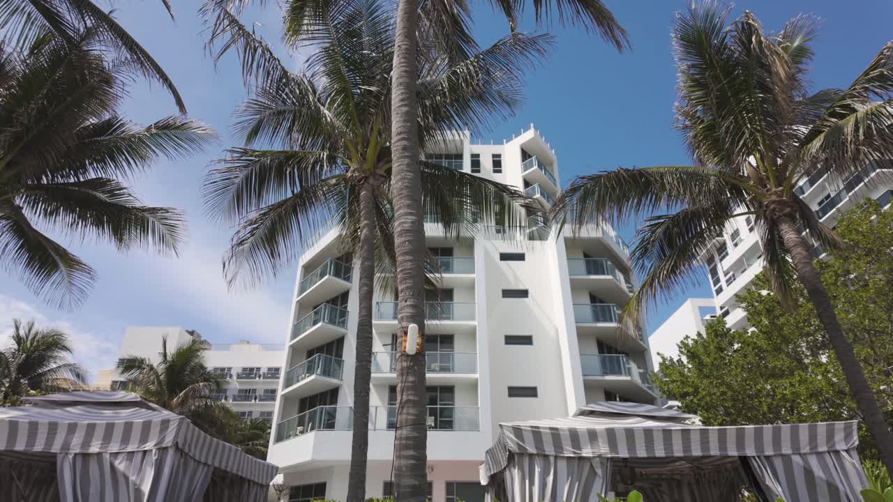 High-rise buildings and palm trees on a sunny day in Miami Beach