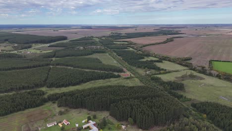 Vista-Aérea-Drone-Uruguay-Campo-árboles-Naturaleza