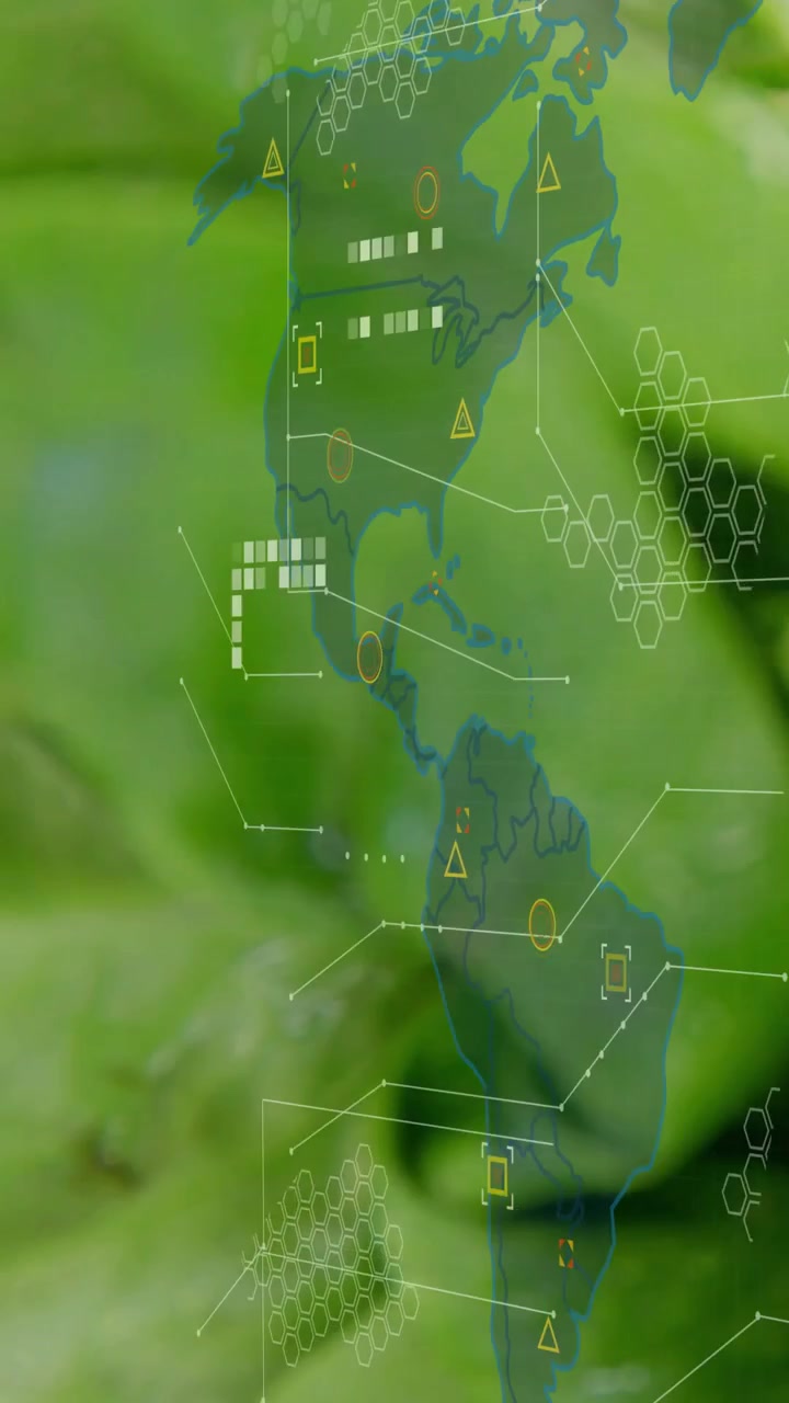 Vertical video: Translucent map appearing, sliding over leaf after focus shift, showing alerts