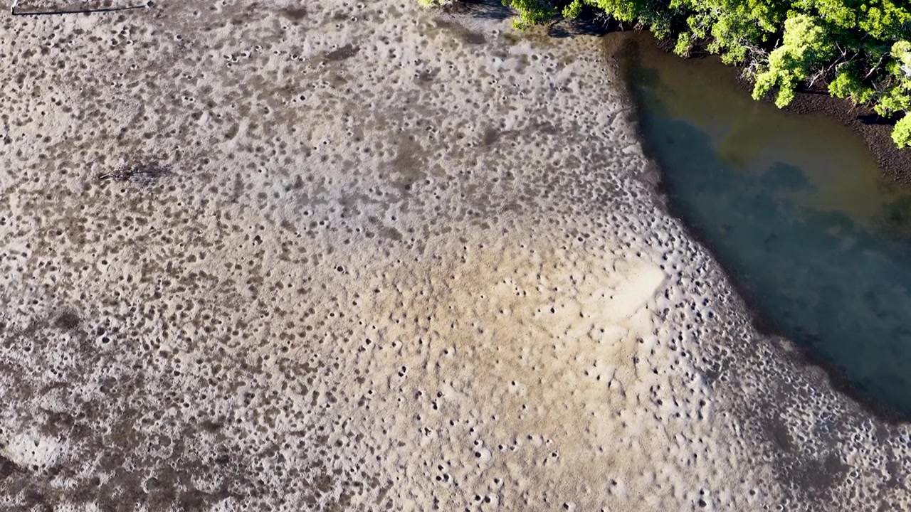 Ripresa aerea con drone di banchi di sabbia testurizzati e mangrovie a South Stradbroke Island, Queensland, Australia.