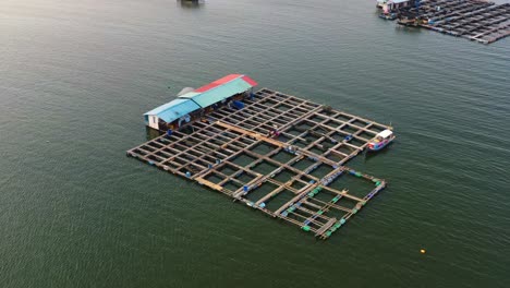 aerial birds eye view, drone flyover the sea capturing a traditional offshore fish farm on brackish water, featuring floating cages and nets, and wooden paths, malaysia, southeast asia