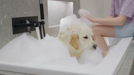 woman giving a dog a bath in the bathtub