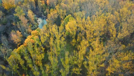 Aerial-view-of-rocky-river-flowing-in-countryside-on-autumn-day