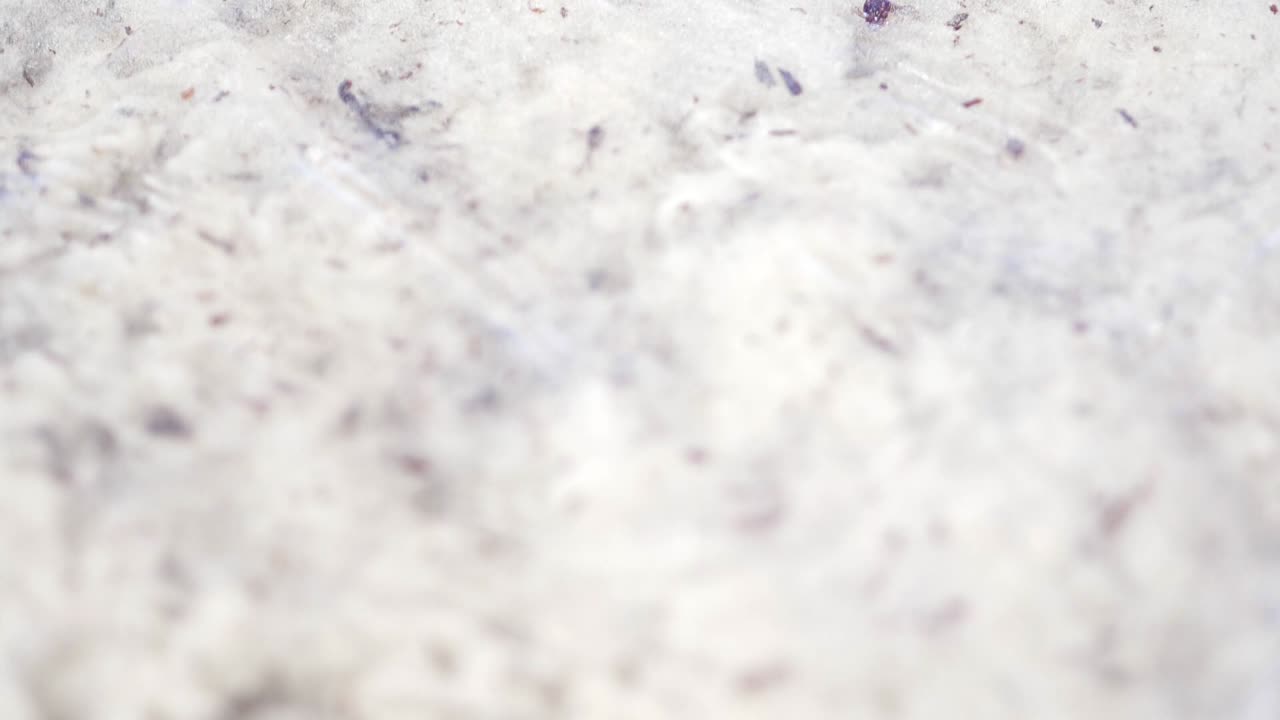 호주 해변 위로 흐르는 조수