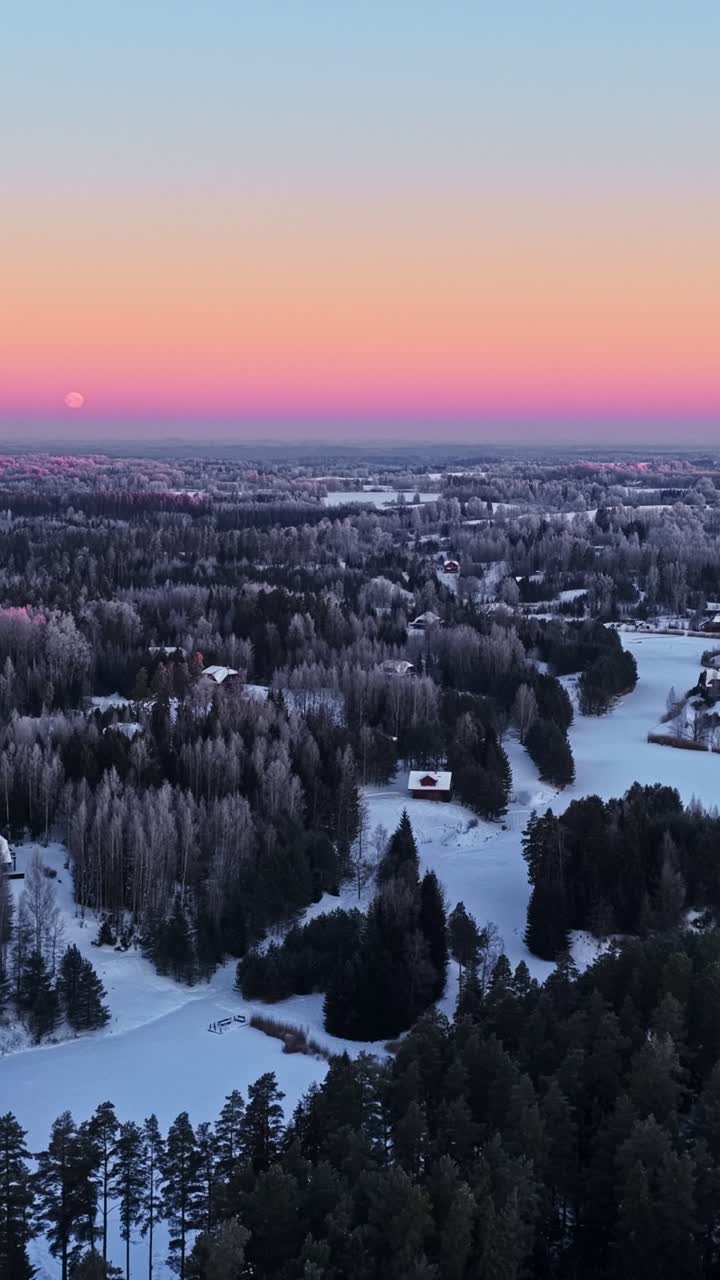 Filmato da drone di un bellissimo tramonto rosa e viola su un'area boschiva coperta di neve. Scatto verticale