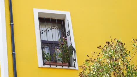 yellow building with ornamental window and flowers