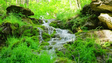 flowing water cascading down moss-covered rocks in a vibrant forest setting