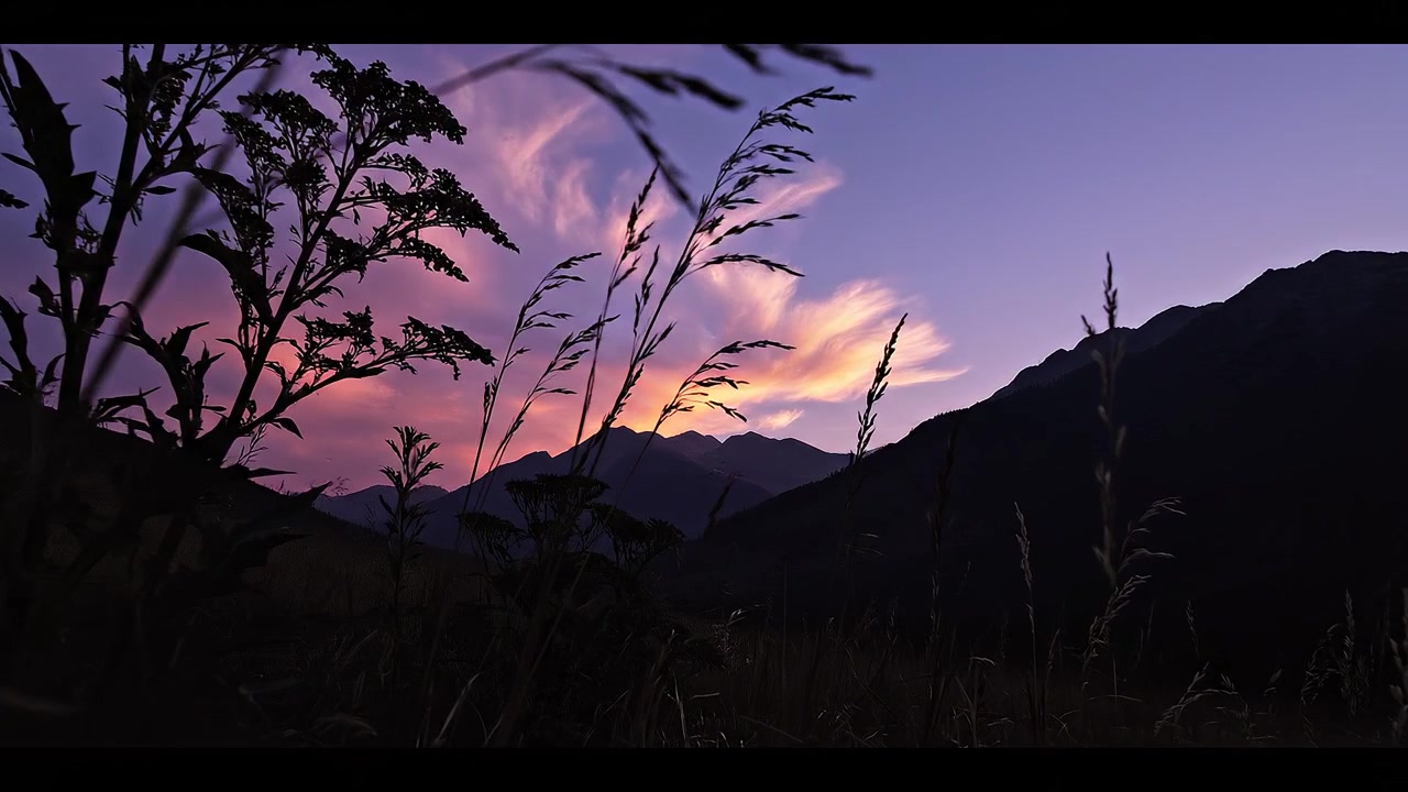 Paesaggio montano sereno al crepuscolo con fiori selvatici in silhouette
