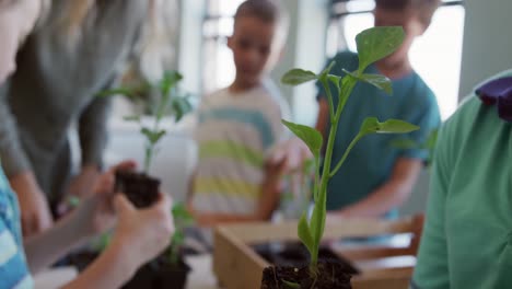 Grupo-De-Niños-Sosteniendo-Plantas-En-La-Clase