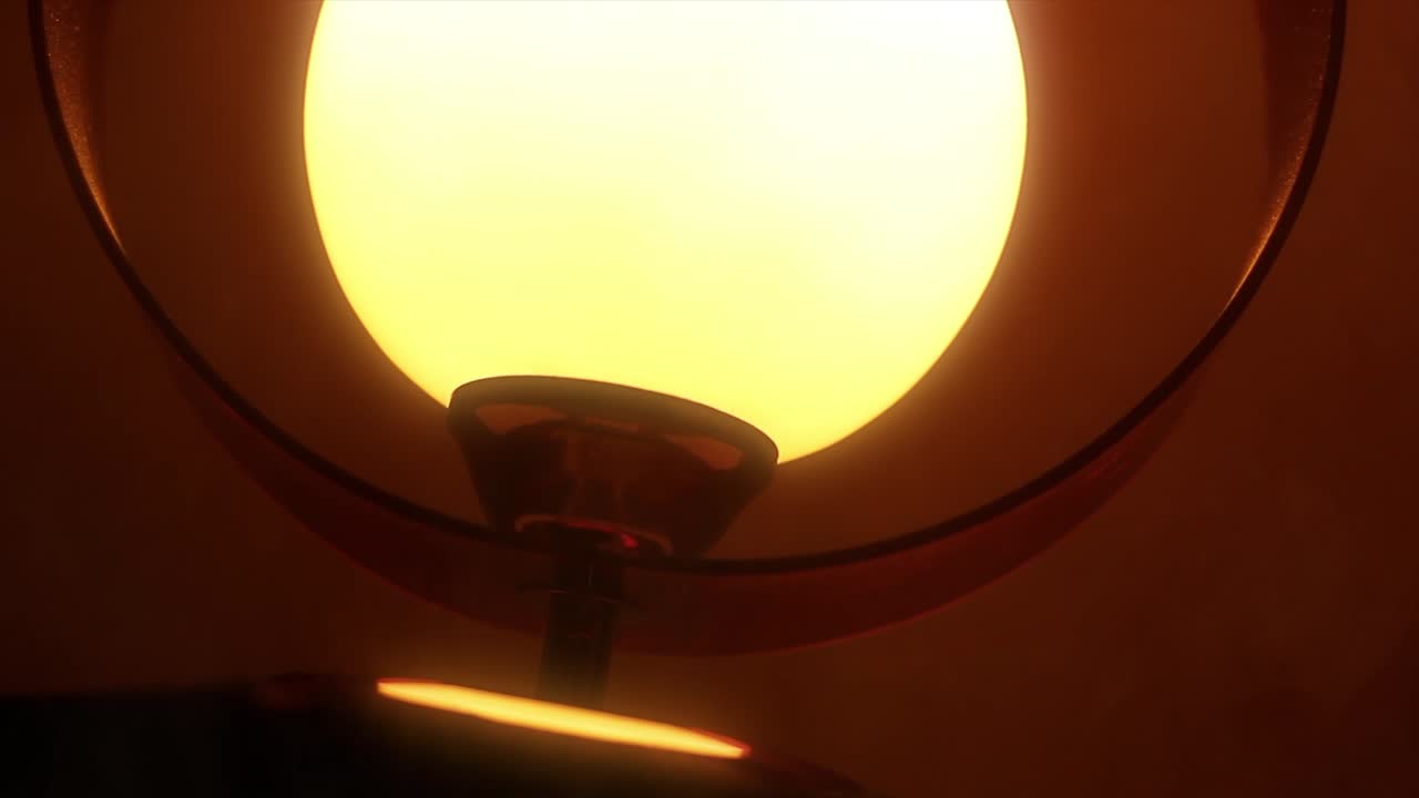 cordero mágico, luz de esfera en el fondo oscuro.