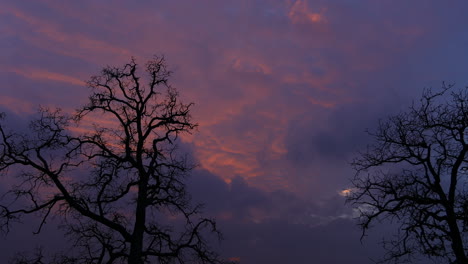 this is a video of a colorful sunset over lake lewisville in texas