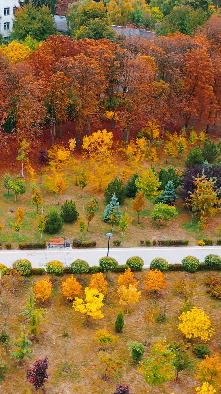 Lovely park with paved paths and pavilion among the bright trees. Drone footage over the peaceful beautiful area in the city. Vertical video