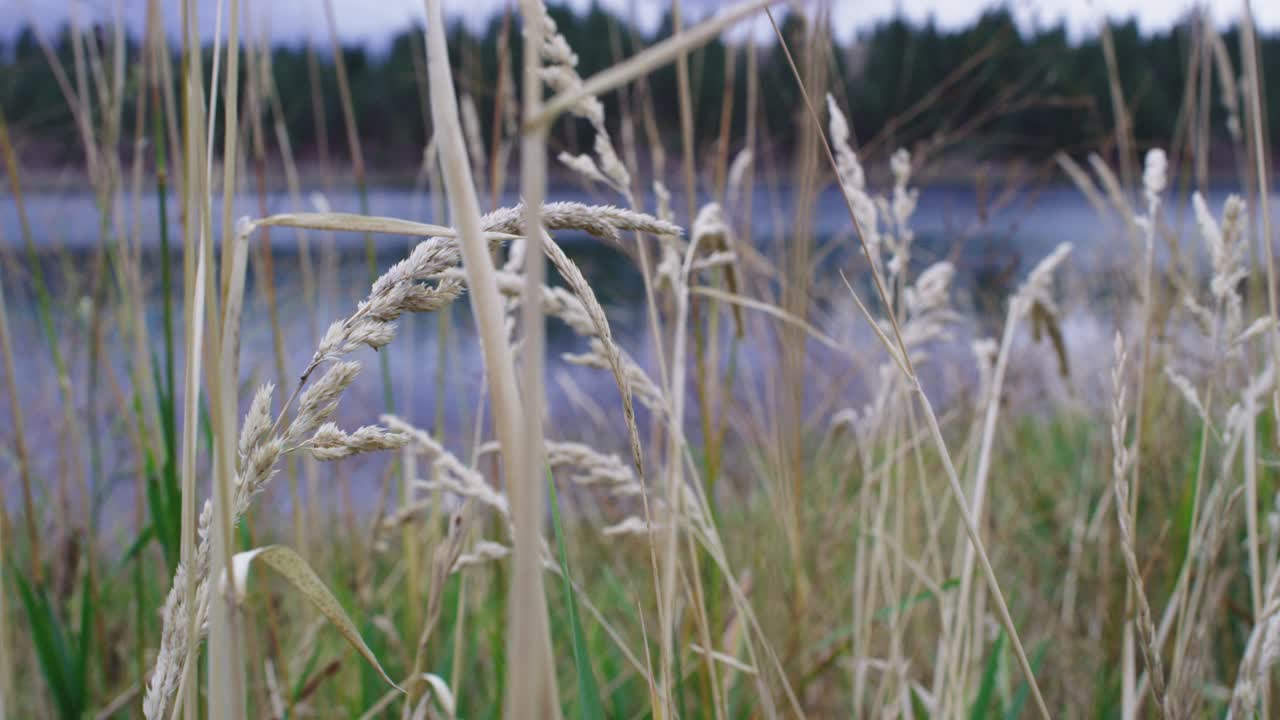 몬태나 의 호수 를 가로질러 보이는 가을의 장면