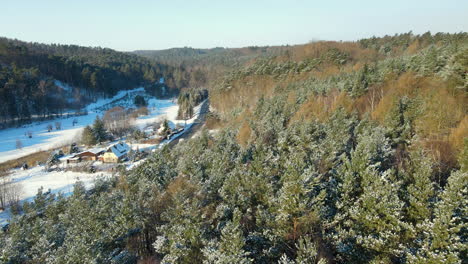 Luft-LKW-Aufnahme-Einer-Wunderschönen-Verschneiten-Landschaft-Mit-Kiefern,-Die-Auf-Der-Straße-Unterwegs-Sind,-Und-Schneebedeckten-Landwirtschaftlichen-Feldern