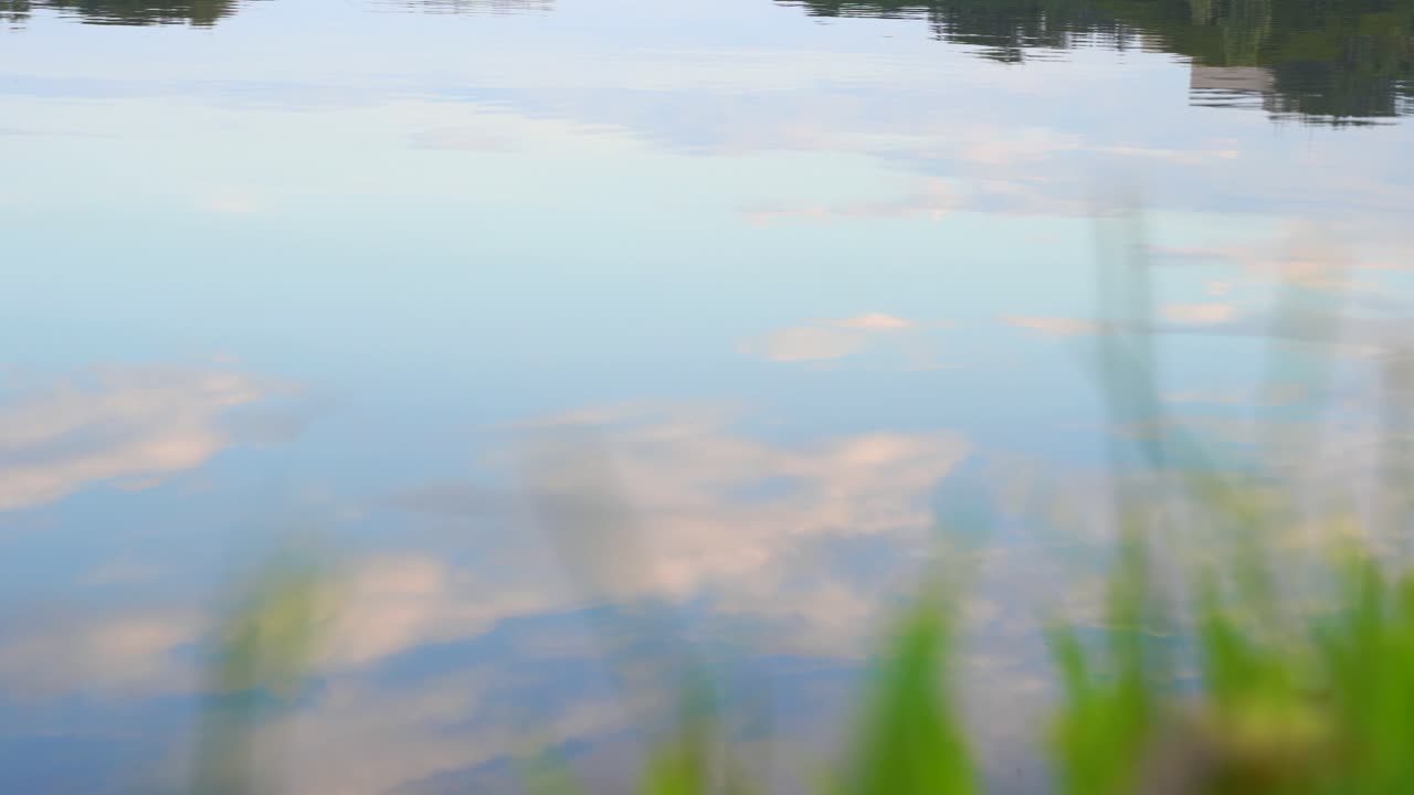 흐린 하늘 반사와 풀이 있는 호수의 믿을 수 없을 정도로 고요한 풍경