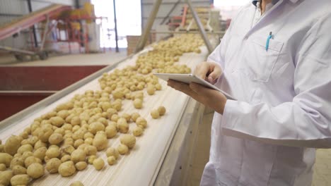 food engineer who controls and supervises the potatoes going on the conveyor belt.