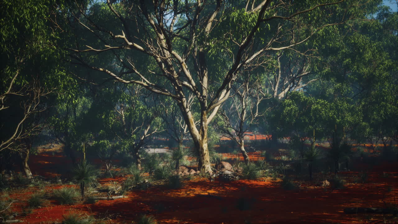 나무 와 관목 이 있는 해안 식물