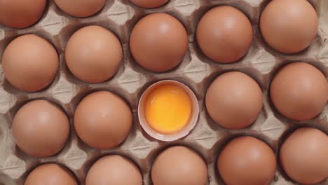 eggs in carton