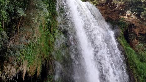 waterfall cascading over rocks at monasterio de piedra, surrounded by lush green foliage