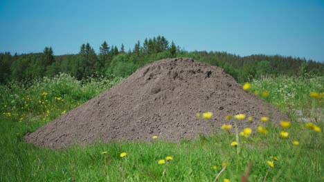 heap of topsoil on rural farm field. wide