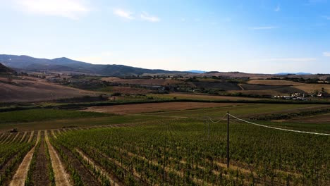 Aerial-landscape-view-over-vineyard-rows,-in-the-hills-of-Tuscany,-in-the-italian-countryside,-on-a-bright-sunny-day