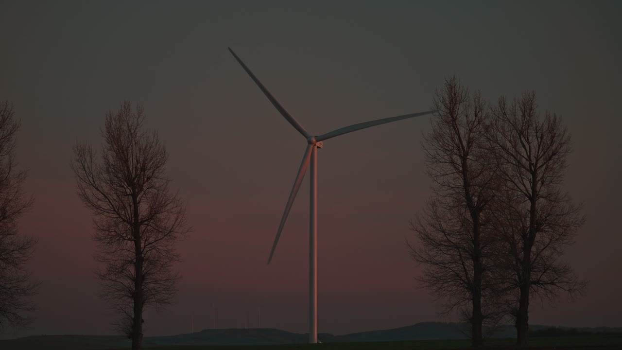 서서히 움직이는 황혼에 잎이 없는 나무들 사이를 회전하는 풍력 터빈