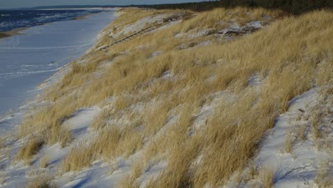 aerial view of dunes in winter