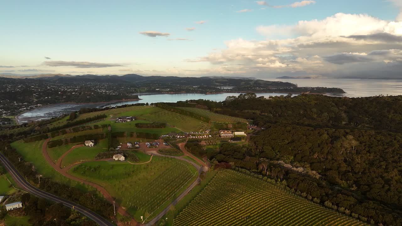 Idyllic vineyards on top of mountains at sunset time. Bay water view with town of Waiheke Island in background. Puffy clouds at sky. Aerial orbit wide shot.