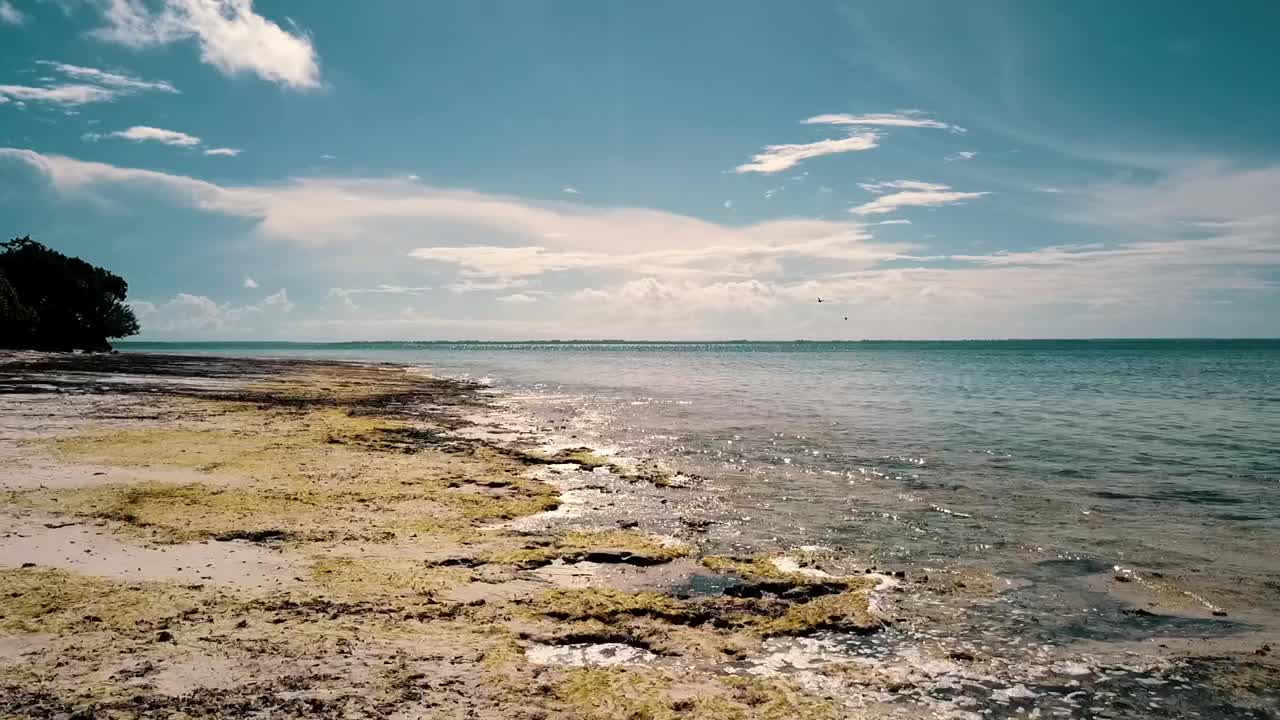 increíble hacia atrás hundiéndose lentamente en un dron disparado al mediodía en una solitaria playa de ensueño