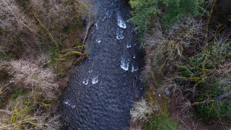 bird's eye view of cedar river flowing through forest above tree line in washington state