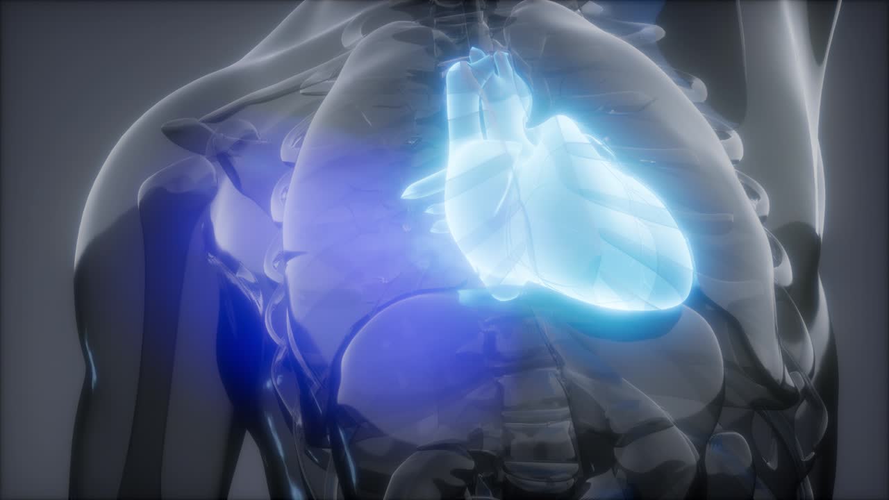 인간 심장 방사선 검사