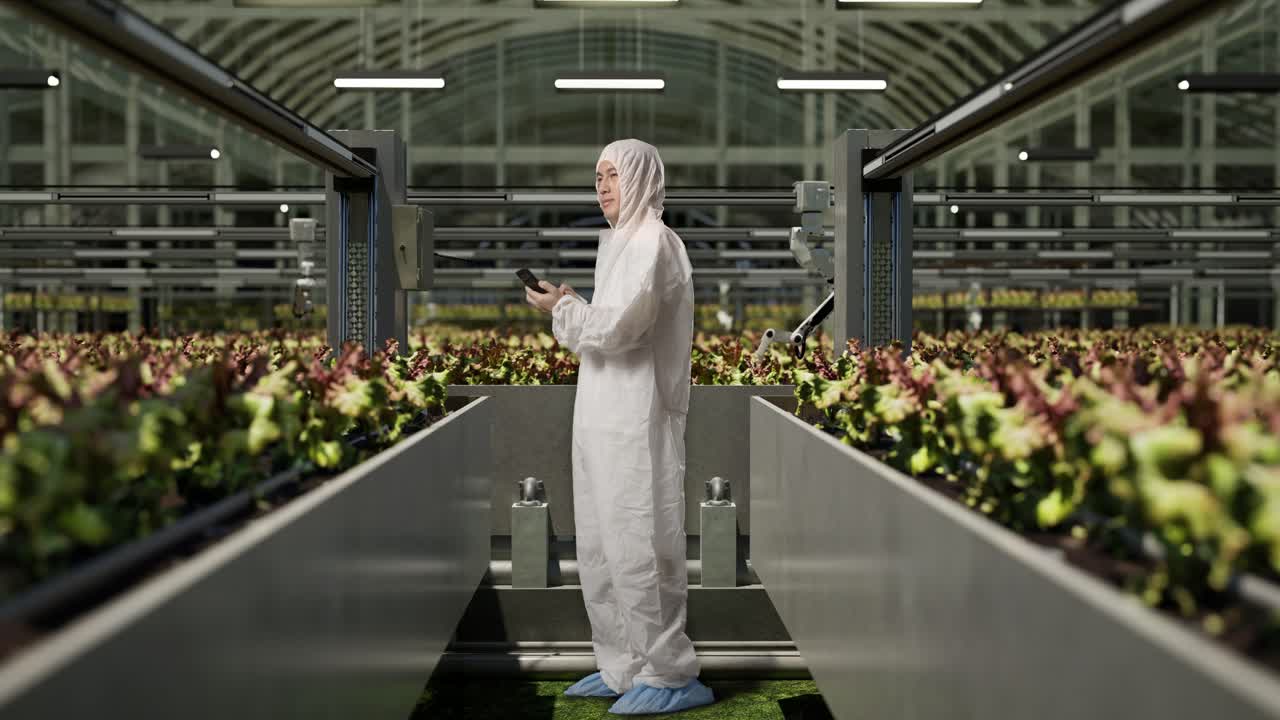 vista lateral completa del cuerpo de un hombre asiático investigador usando un teléfono inteligente y mirando a su alrededor mientras está de pie en el invernadero con agricultores robóticos inteligentes