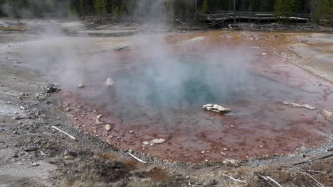 aguas termales en el parque nacional de yellowstone