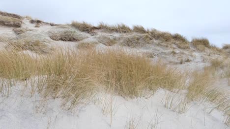 Vista-Panorámica-De-Los-Céspedes-De-La-Playa-De-Marram-Que-Crecen-En-Dunas-De-Arena-Blanca-Que-Se-Mueven-En-Condiciones-Climáticas-Ventosas-En-Berneray,-Hébridas-Exteriores-Del-Oeste-De-Escocia,-Reino-Unido