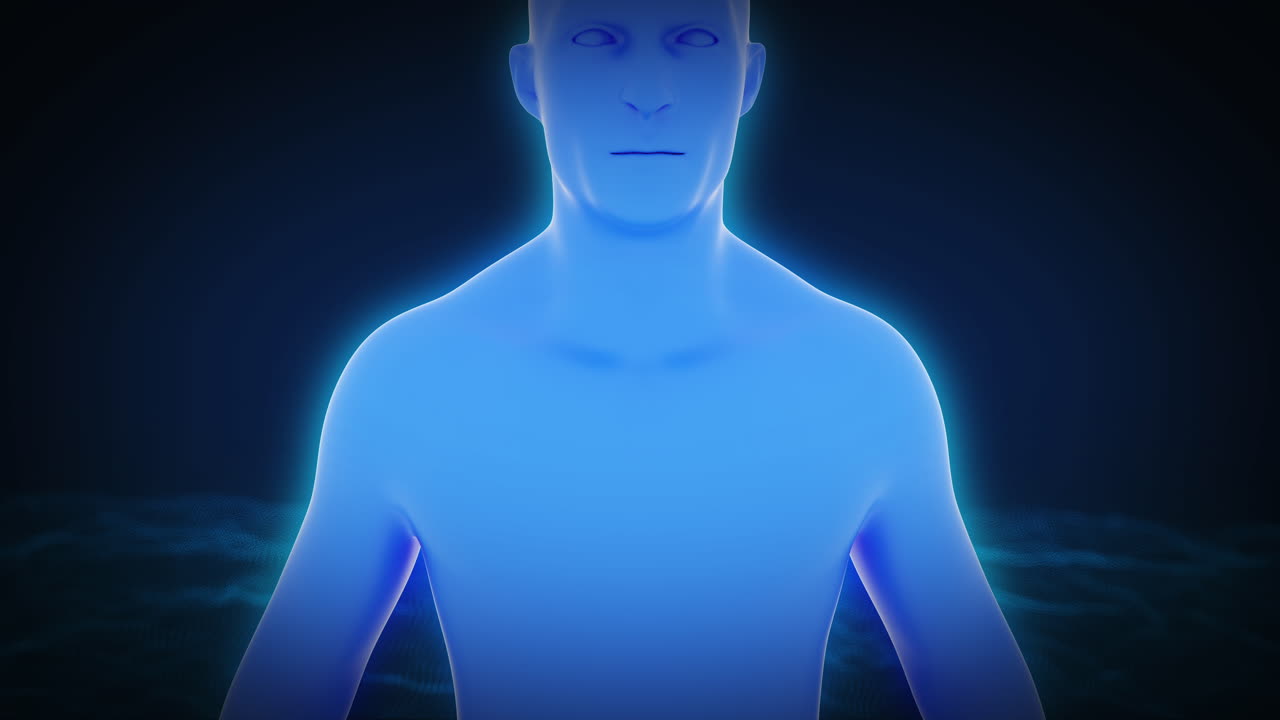 silueta azul del hombre. anatomía de un hombre que muestra la mitad de un cuerpo