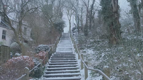 looking up outdoor steps, snowy winter weather, trees and london victorian housing, slow motion