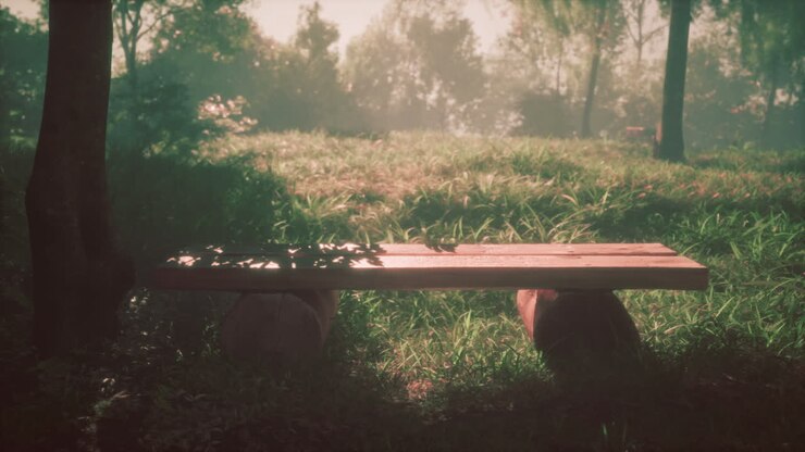 Tranquil bench in a misty forest