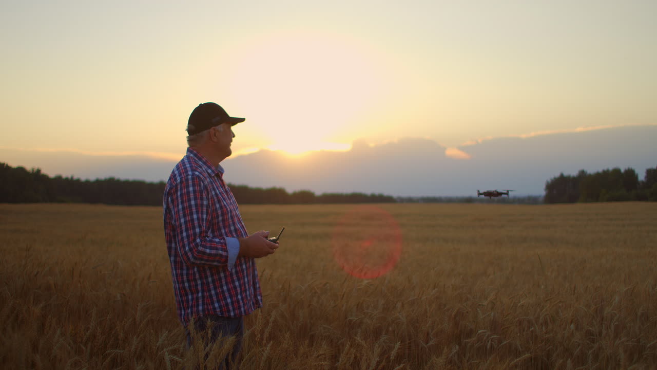 Um agrônomo idoso em uma lavoura de grãos pilota um drone usando um controle joystick. Um homem idoso e tecnologia moderna.